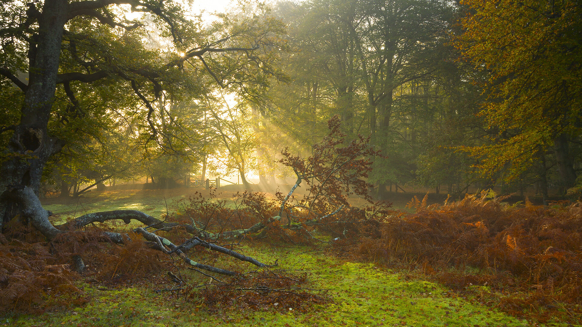 勇士 triumph over Lakers!,勇士大人想怀上魔王的孩子