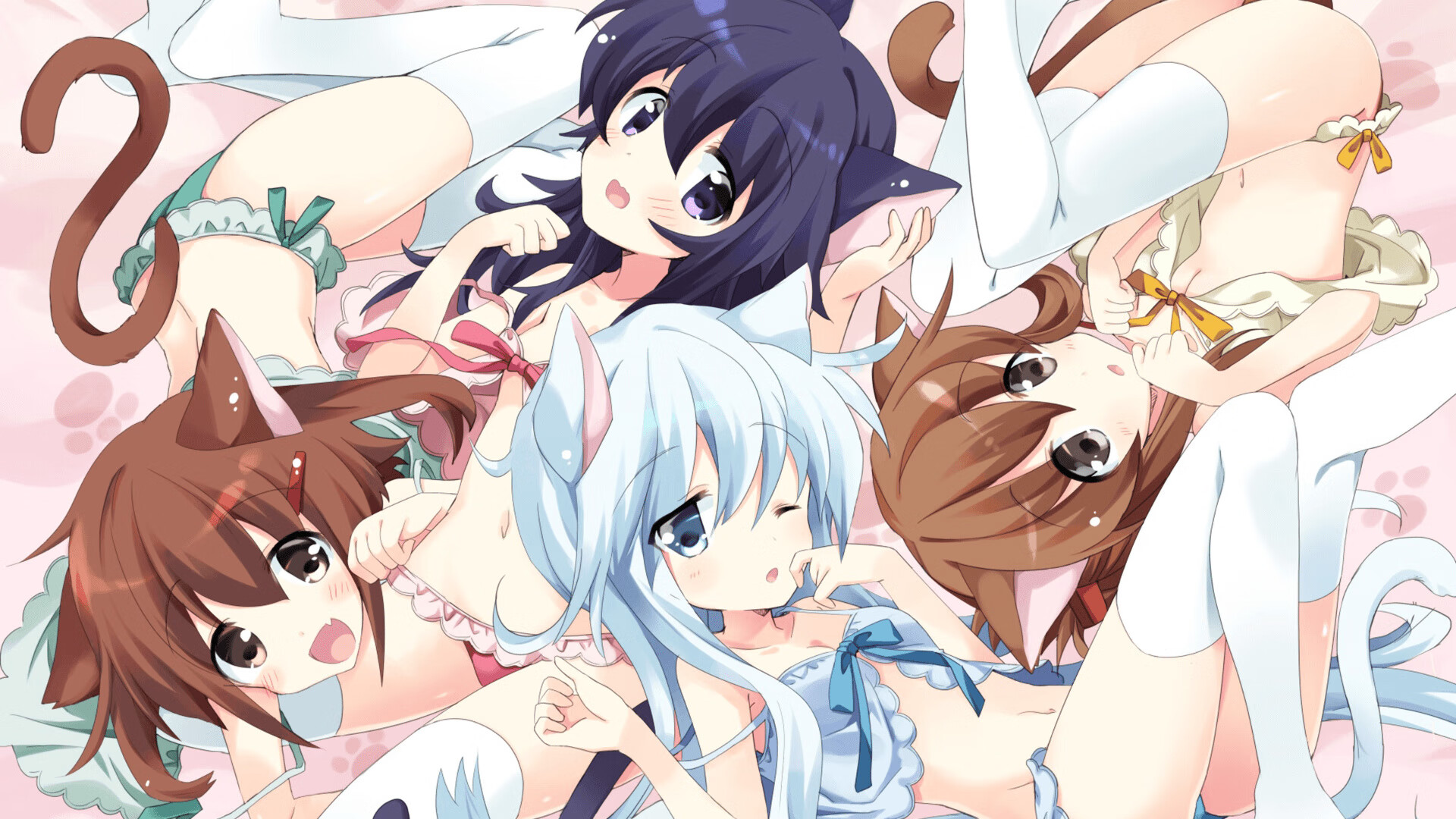 太阳新引进助教为前WNBA主帅,球队战术更灵活,太阳队现任主教练是谁